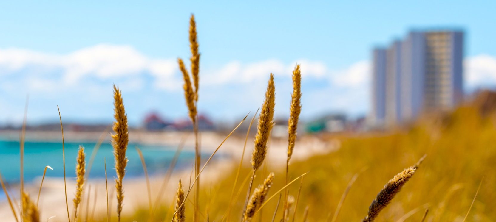 Feriensiedlung am Südstrand von Fehmarn Blick auf den Strand am Südstrand von Burgtiefe auf Fehmarn